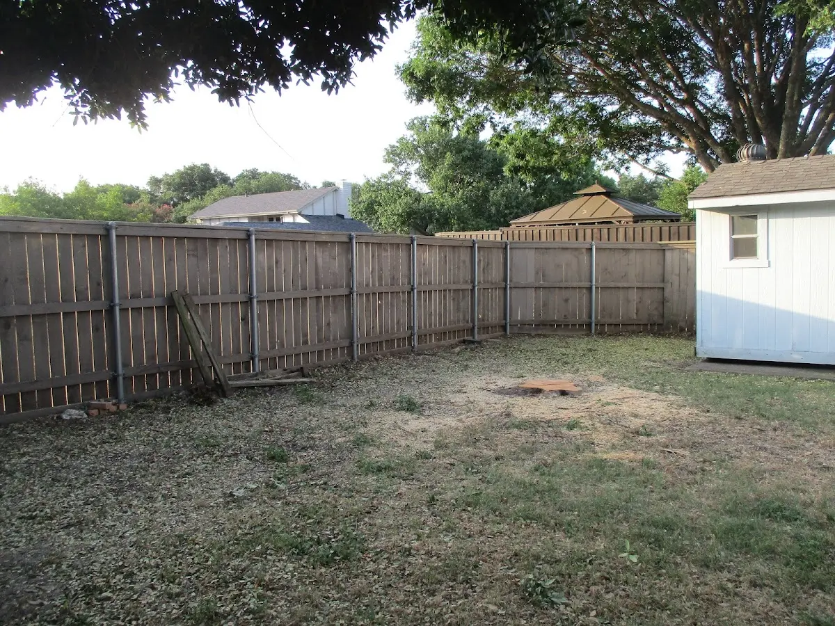 Cleared yard after professional tree removal in Los Alamos