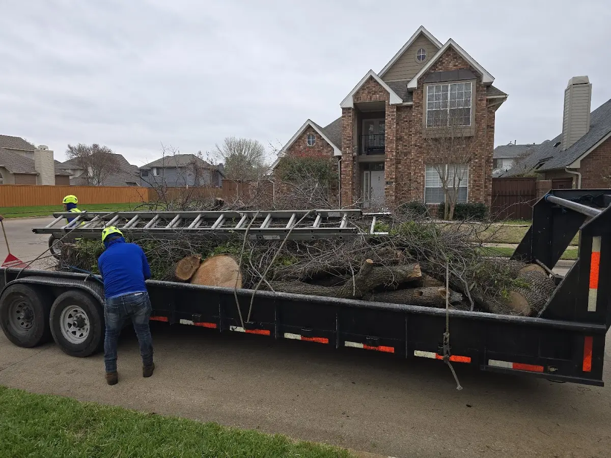 Expert Lot Clearing with proper safety equipment in Los Alamos
